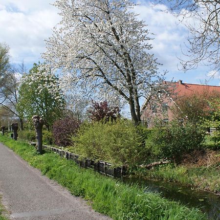 Gastenverblijf De Natureluur Noorden Exterior foto