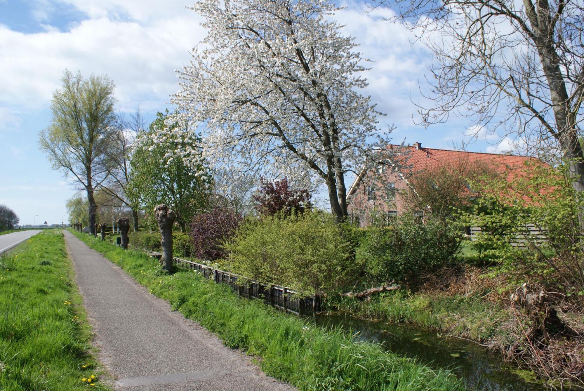 Gastenverblijf De Natureluur Noorden Exterior foto
